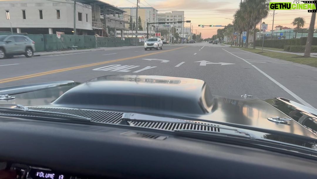 Hulk Hogan Instagram - Takin the runner out for a stroll!!!