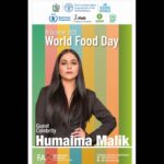 Humaima Malick Instagram - Speaking at UN tommorow @unitednations @govtofpakistan