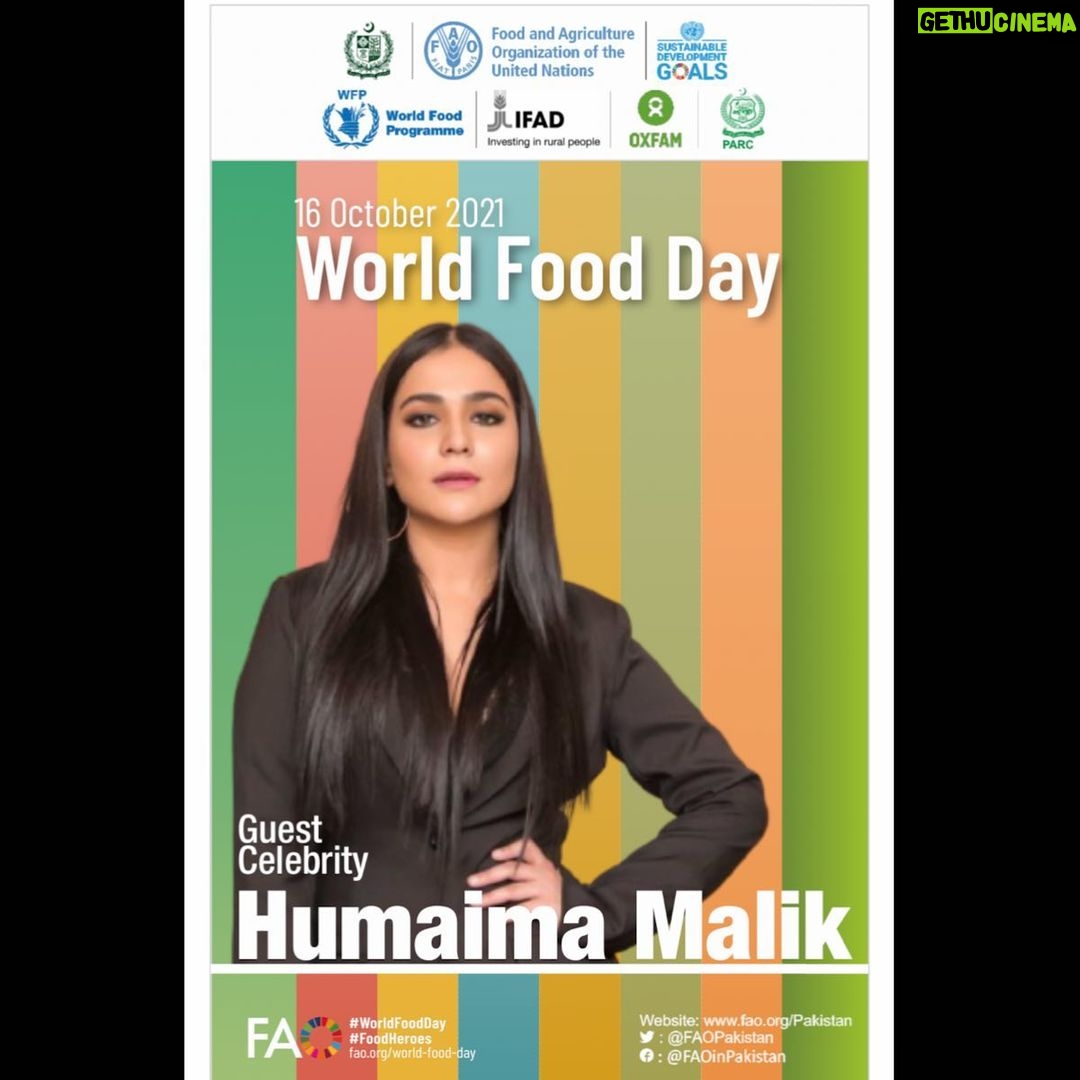 Humaima Malick Instagram - Speaking at UN tommorow @unitednations @govtofpakistan