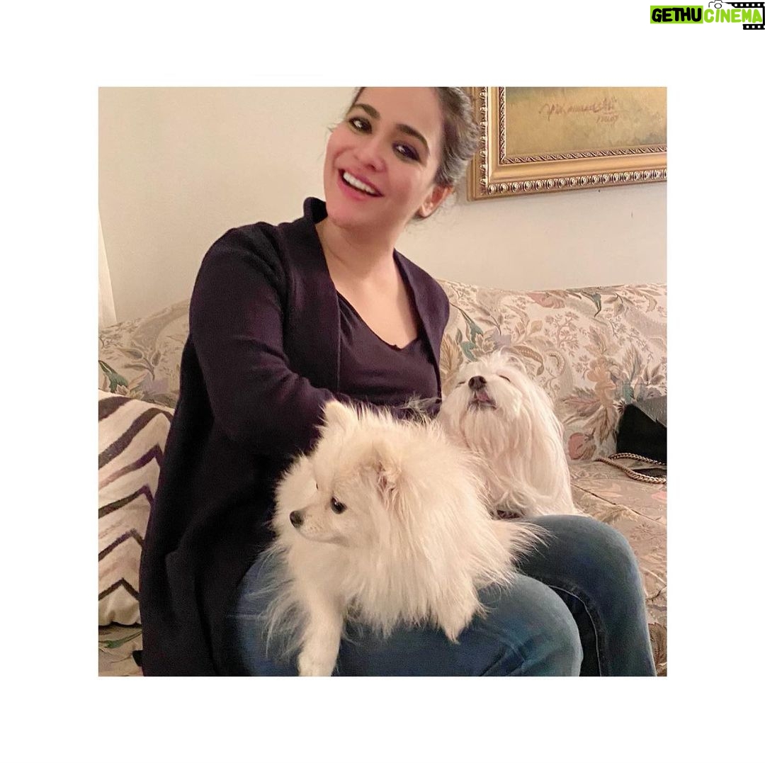 Humaima Malick Instagram - New friends 😻
