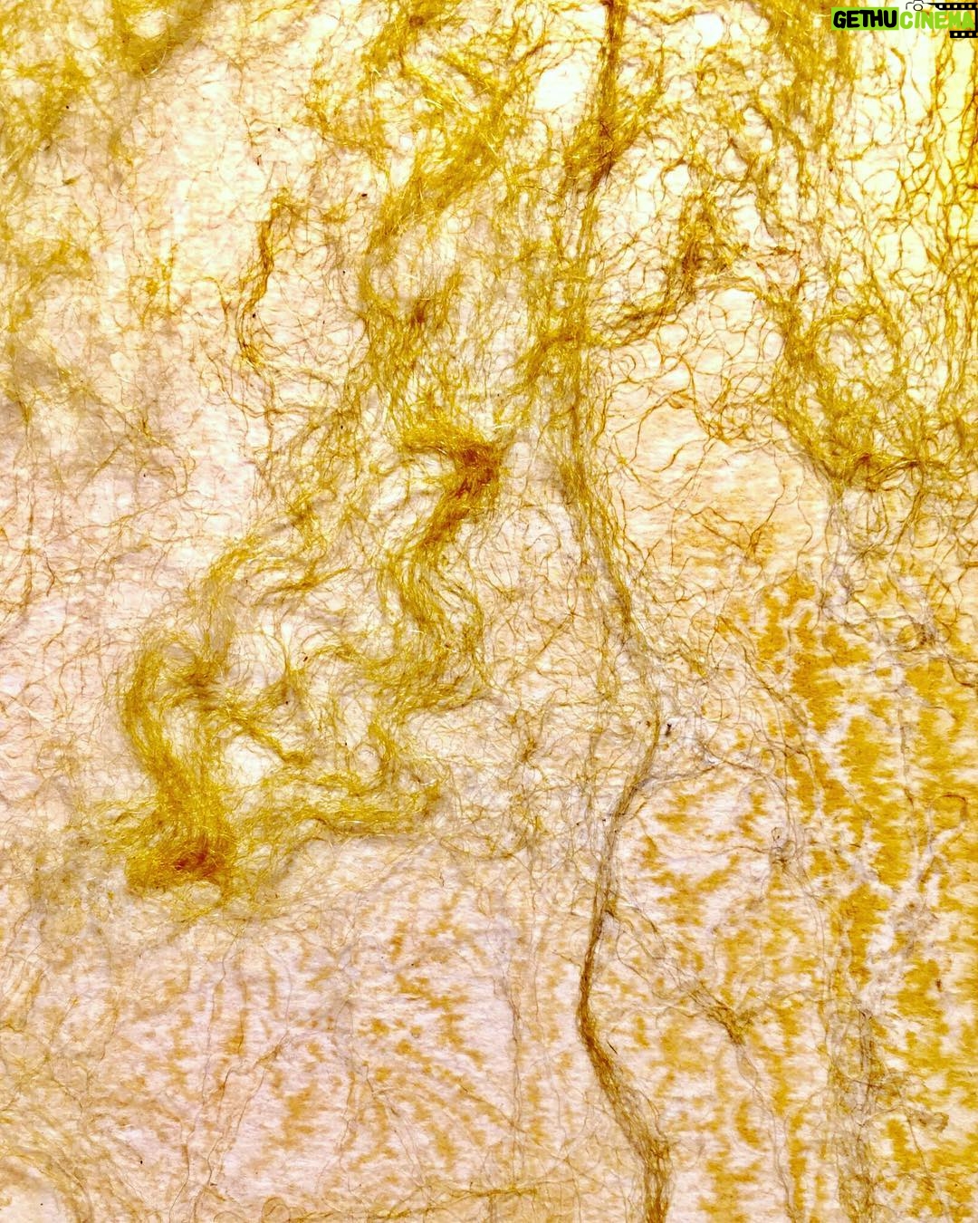 Hunter Schafer Instagram - new texture work for a piece I made for @rookiemag coming out this month 💛