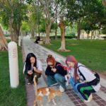 Hyolyn Instagram - 냥들이