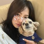 Hyoyeon Instagram – 강쥐 세마리 여행은 역시 무리🤔
.
#바바라 #비너스 #베일리
#제주도 Camphortree Hotel