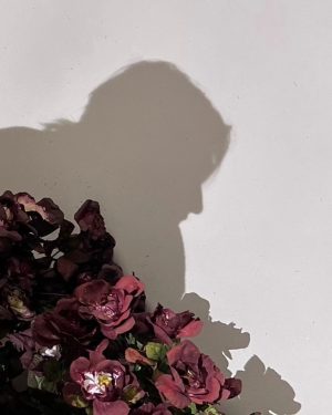 Hyunjin Instagram - 🌹