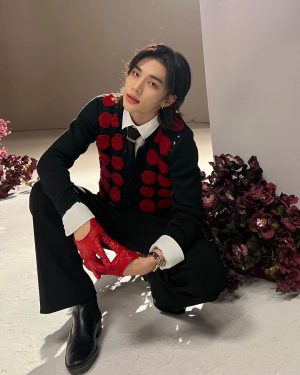Hyunjin Instagram - 🌹