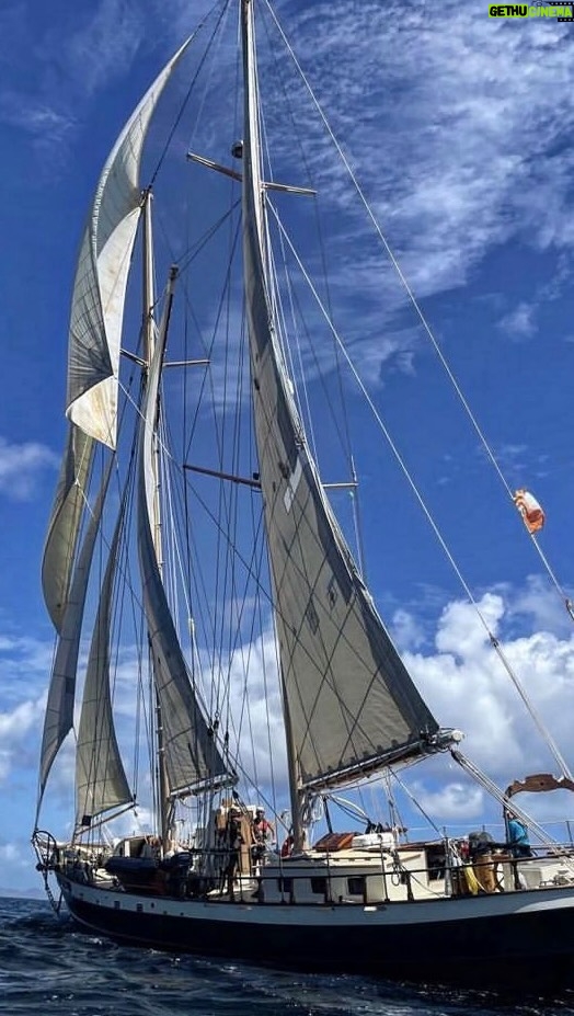 Iñaki Godoy Instagram - At the beginning of this year, I did a 80 day sail trip across the Caribbean. I cooked, cleaned, sailed and had lots of fun. Adventure is always in the horizon, if you are ready for it. Learn more about my ship journey at my website, there’s a new blog posted !!!! Looking forward to new adventures, thank you for joining the ride ❤️❤️❤️