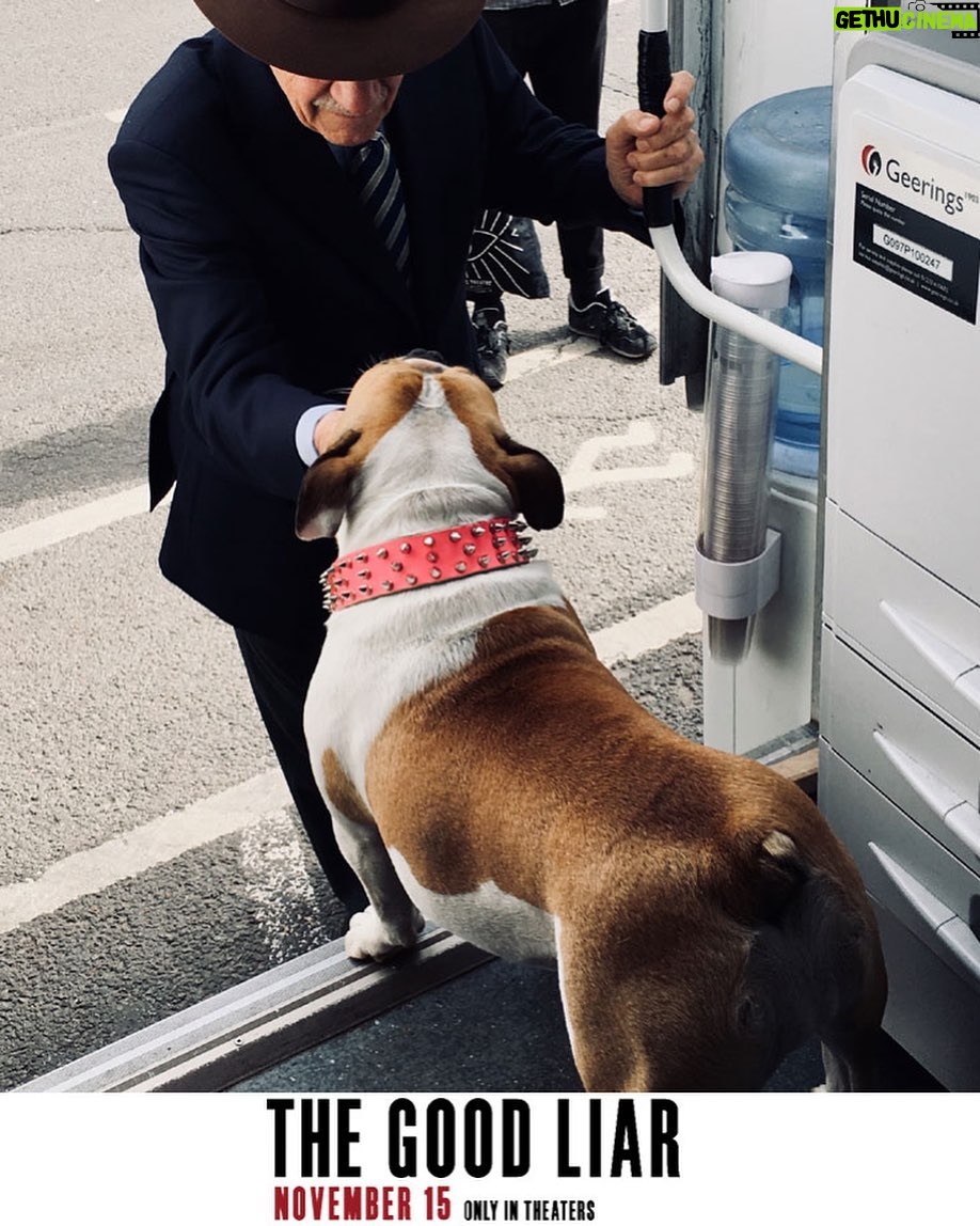 Ian McKellen Instagram - In @goodliarmovie I am Roy Courtnay, a con man who preys on wealthy widows. Between takes I myself was charmed by a con canine!