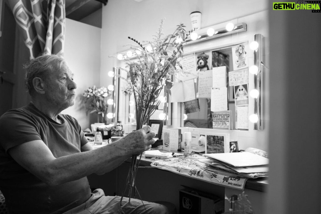 Ian McKellen Instagram - Backstage arranging the flowers for Lear's bouquet. See the show broadcast live from London, to find a cinema near you visit ntlive.com Photo (c) @matthumphreyimages
