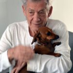 Ian McKellen Instagram - Did somebody say it’s national dog day?