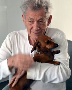 Ian McKellen Instagram - Did somebody say it’s national dog day?