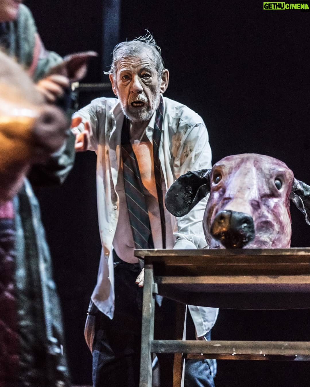 Ian McKellen - 80.3K Likes - King Lear 2018