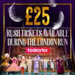 Ian McKellen Instagram - Our strictly limited London run ends soon. Before we hit the road for a tour around the nation and to Ireland, you can get EGGSclusive £25 rush tickets to #MotherGooseShow via the @TodayTix app. Honk if you're down with this!