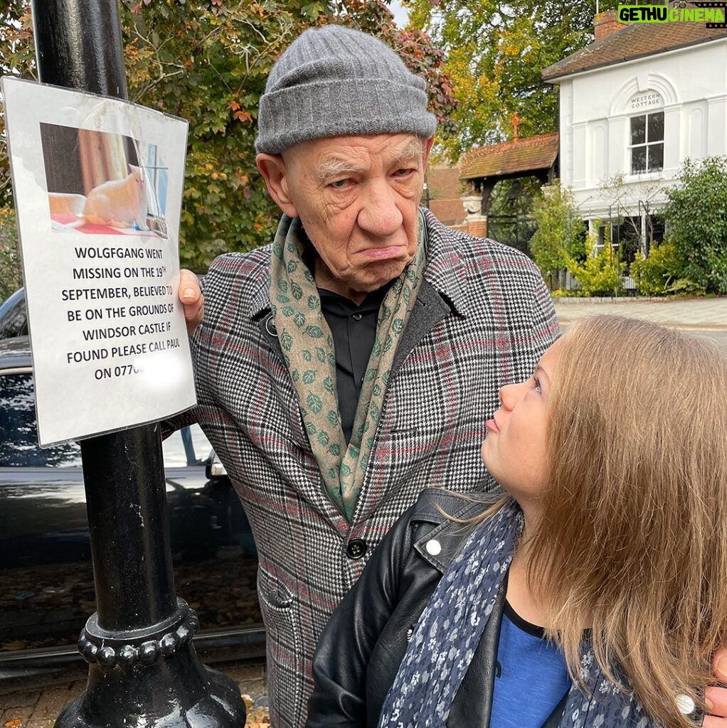 Ian McKellen Instagram - A cat has either gone missing from or has escaped to Windsor Castle. I hope by now he's returned home, but if you happen to see Wolfgang out and about please comment below. Poster seen while touring with @outwith_millieanna