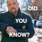 Ice-T Instagram - From 4 episodes to 23 seasons and counting #SVU