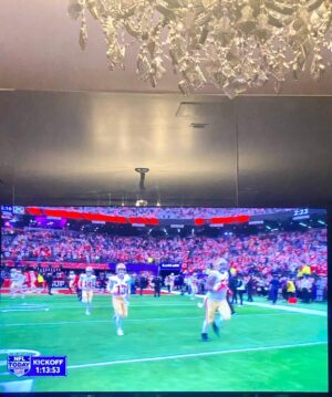 Ice-T Instagram - I managed to get the ‘VERY BEST’ seat at this year’s SUPERBOWL for FREE! At home,in my bed, chillin! 💥