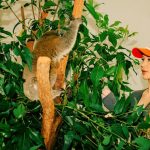 Iggy Azalea Instagram - 🫶 @currumbinwildlifehospital