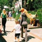Iggy Azalea Instagram - 🫶 @currumbinwildlifehospital