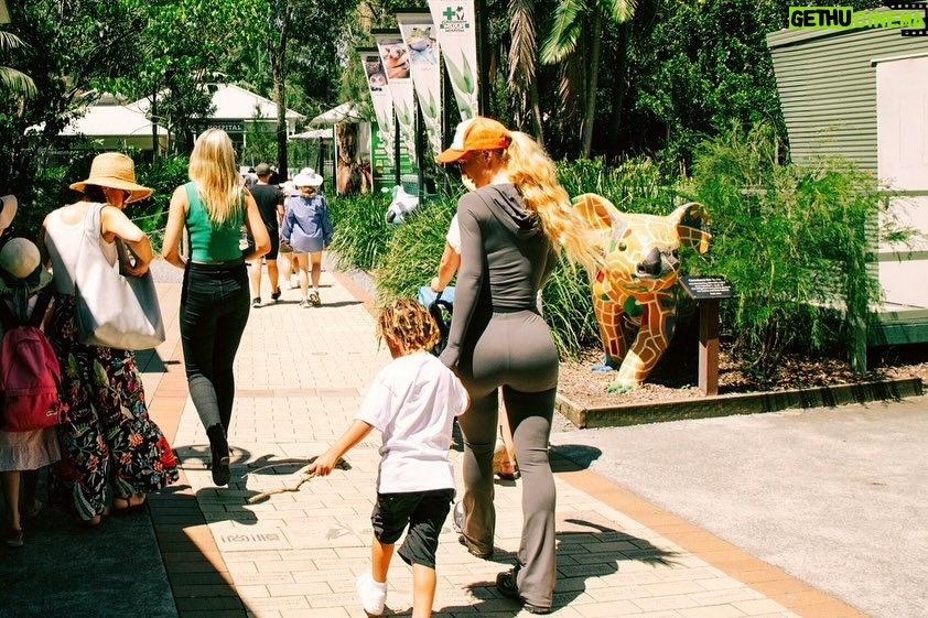 Iggy Azalea Instagram - 🫶 @currumbinwildlifehospital