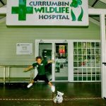 Iggy Azalea Instagram - 🫶 @currumbinwildlifehospital