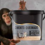 Igor Guimarães Instagram - Fiz esse ensaio sensual na beira do oceano em prol do Macaquinho Bariloche que tá internado no hospital Sírio Libanês e precisa de cimento pra fazer sua casa/ museu. Ajudem e apoie com o PINX Casa Bariloche