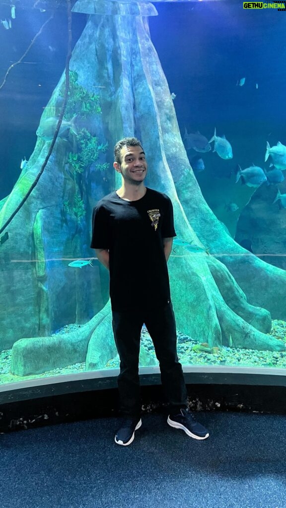Igor Guimarães Instagram - Os aquaristas pira! Os bastidores de um dos maiores aquários de água doce do mundo @bioparquepantanaloficial 🐟 🥹❤️ #aquarismo #aguadoce #aquarismojumbo #aquarist #fishtank Campo Grande, Brazil