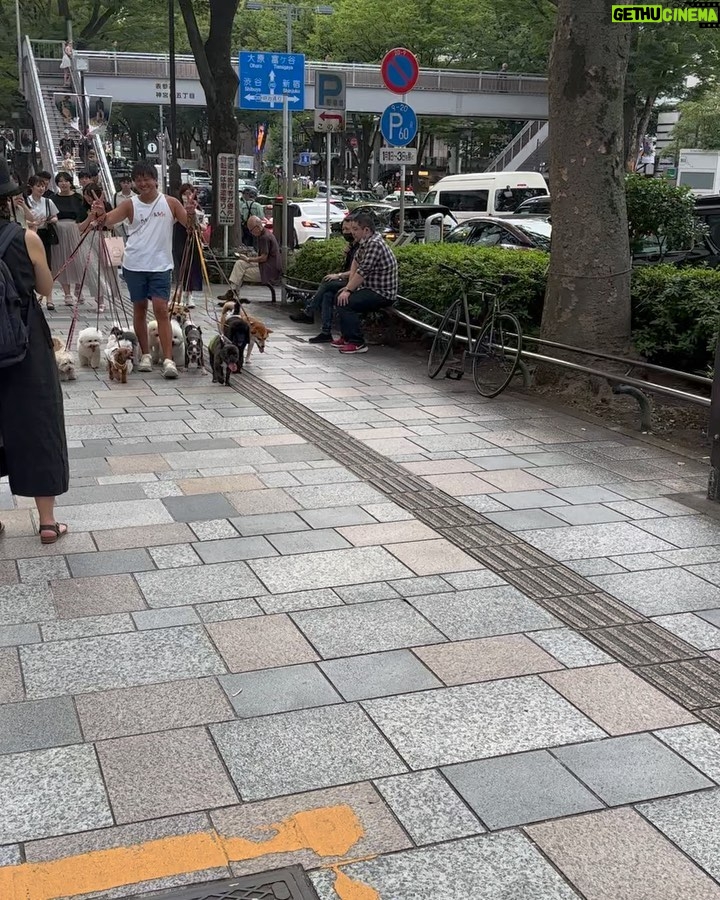 Iko Uwais Instagram - cardio time 🤪🏃🏻♀️ 🇯🇵style 🥷🏻🌟 #theuwais👨👩👧👧 #theuwaisjapantrip #harajuku #shibuya Shibuya Crossing, Tokyo 渋谷区