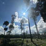 Iko Uwais Instagram - no filter needed😍🌳🏔️🌾🌤️❤️ #theuwais👨‍👩‍👧‍👧 Pangalengan, Jawa Barat, Indonesia