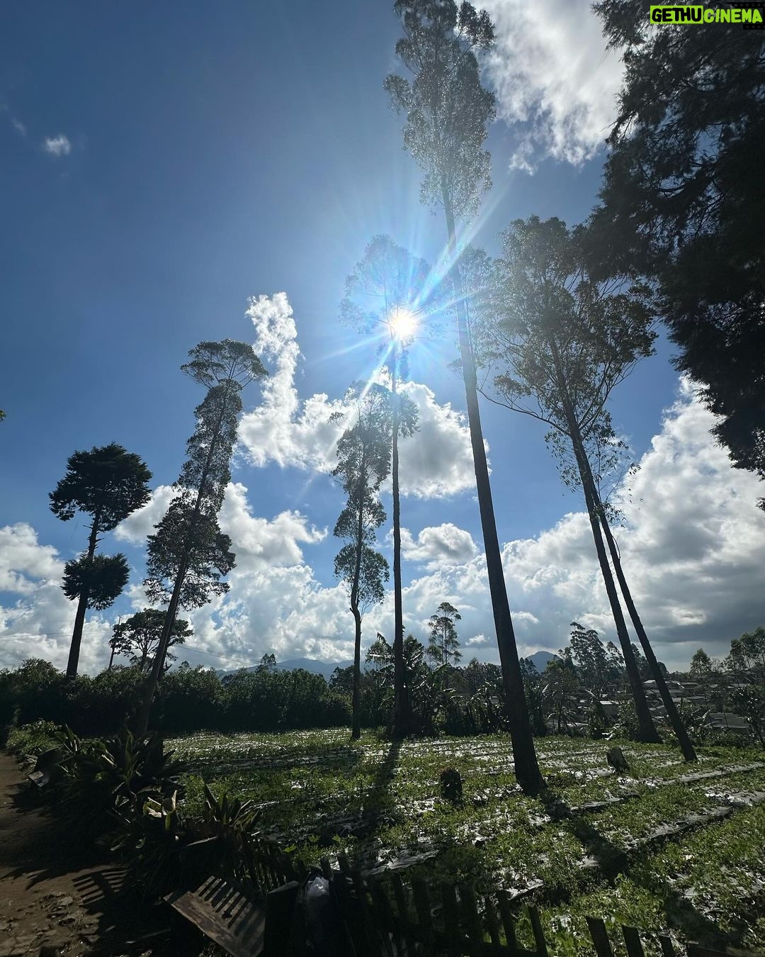 Iko Uwais Instagram - no filter needed😍🌳🏔️🌾🌤️❤️ #theuwais👨👩👧👧 Pangalengan, Jawa Barat, Indonesia