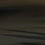 Ilya Tank Shilov Instagram -