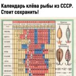Ilya Tank Shilov Instagram - Эх, сейчас бы взять удочку, сесть на УАЗик и поехать на рыбалку. Взять с собой друзей, палатку, мобильную кухню, портативный душ, туалет, электрогенератор и музыкальные колонки. Закутить нереальную тусовку и пригласить клёвых подруг. Калининград • Kaliningrad