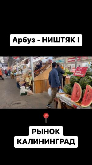 Ilya Tank Shilov Instagram - 