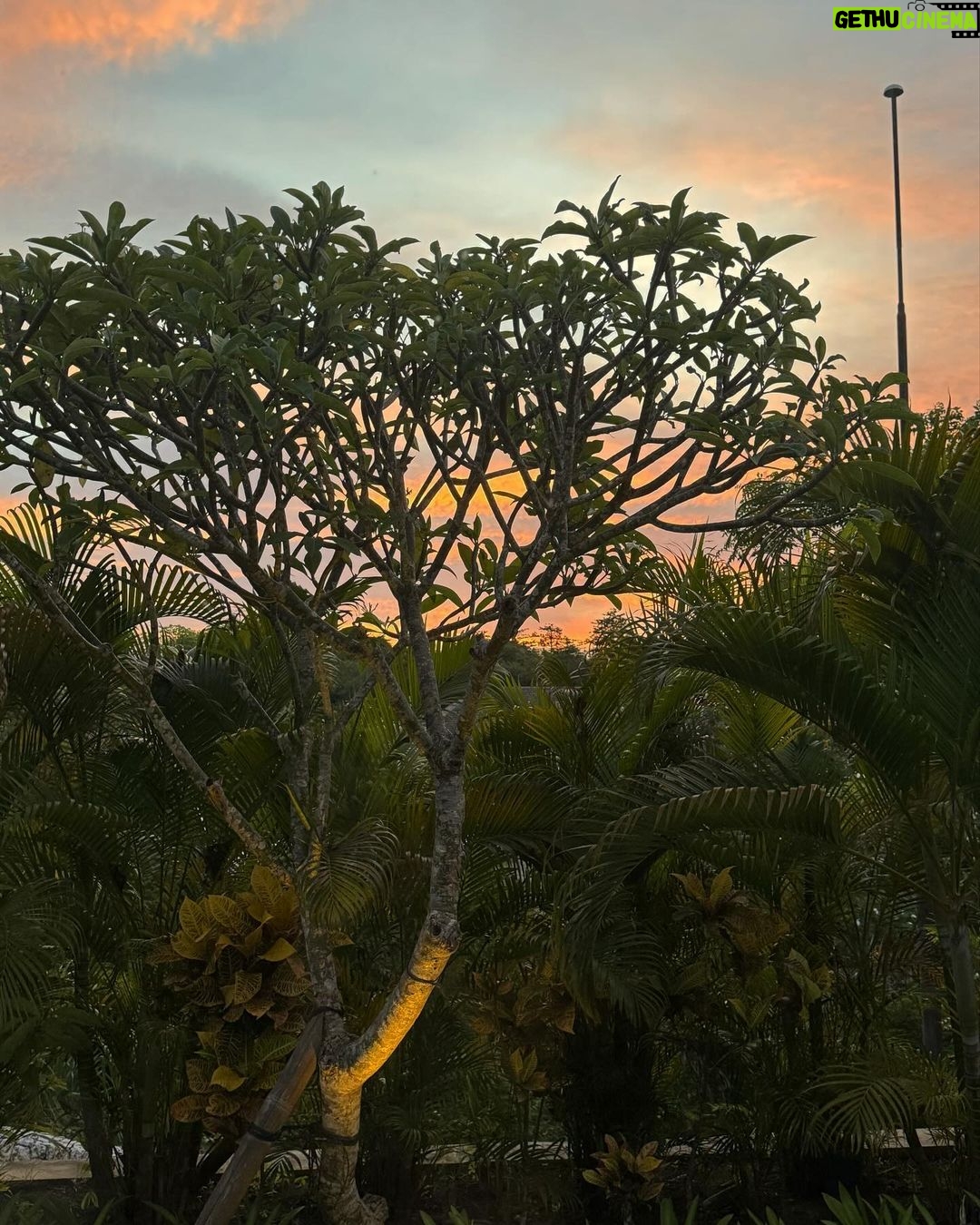 Im Na-yeon Instagram - 뒤죽박죽 발리 모음집 시자악,, 🏝️🍃☀️🌳🌷🌊