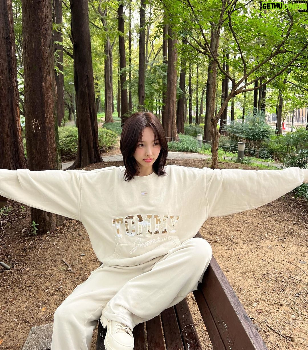 Im Na-yeon Instagram - #광고 비 오는 날 타미진스☂️ #타미진스 #tommyjeans