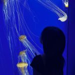 Im Na-yeon Instagram - 🐠🐟🦭🐬🐋🐳🪼