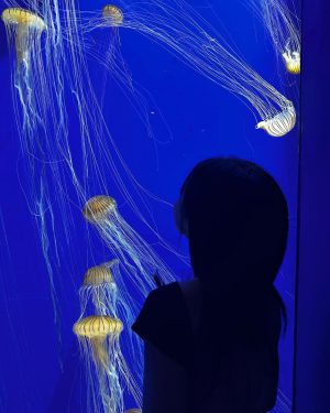 Im Na-yeon Instagram - 🐠🐟🦭🐬🐋🐳🪼