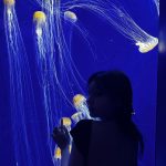 Im Na-yeon Instagram - 🐠🐟🦭🐬🐋🐳🪼