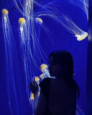 Im Na-yeon Instagram - 🐠🐟🦭🐬🐋🐳🪼