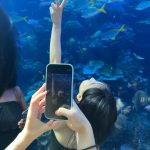 Im Na-yeon Instagram - 🐠🐟🦭🐬🐋🐳🪼