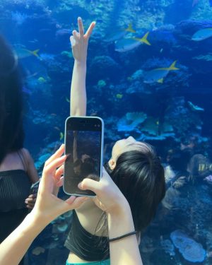 Im Na-yeon Instagram - 🐠🐟🦭🐬🐋🐳🪼