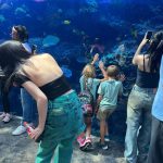 Im Na-yeon Instagram - 🐠🐟🦭🐬🐋🐳🪼