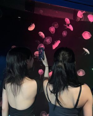 Im Na-yeon Instagram - 🐠🐟🦭🐬🐋🐳🪼