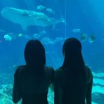 Im Na-yeon Instagram - 🐠🐟🦭🐬🐋🐳🪼