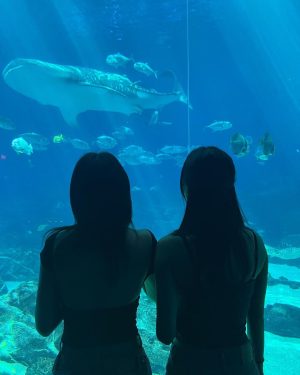 Im Na-yeon Instagram - 🐠🐟🦭🐬🐋🐳🪼