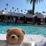 Im Soo-hyang Instagram - 지상낙원🏝️ Beverly Hills Hotel