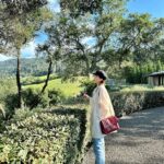 Im Soo-hyang Instagram - 취….취한다🍷