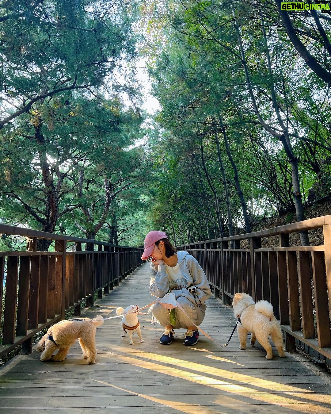 Im Soo-hyang Instagram - 힐링타임 with @arari0419
