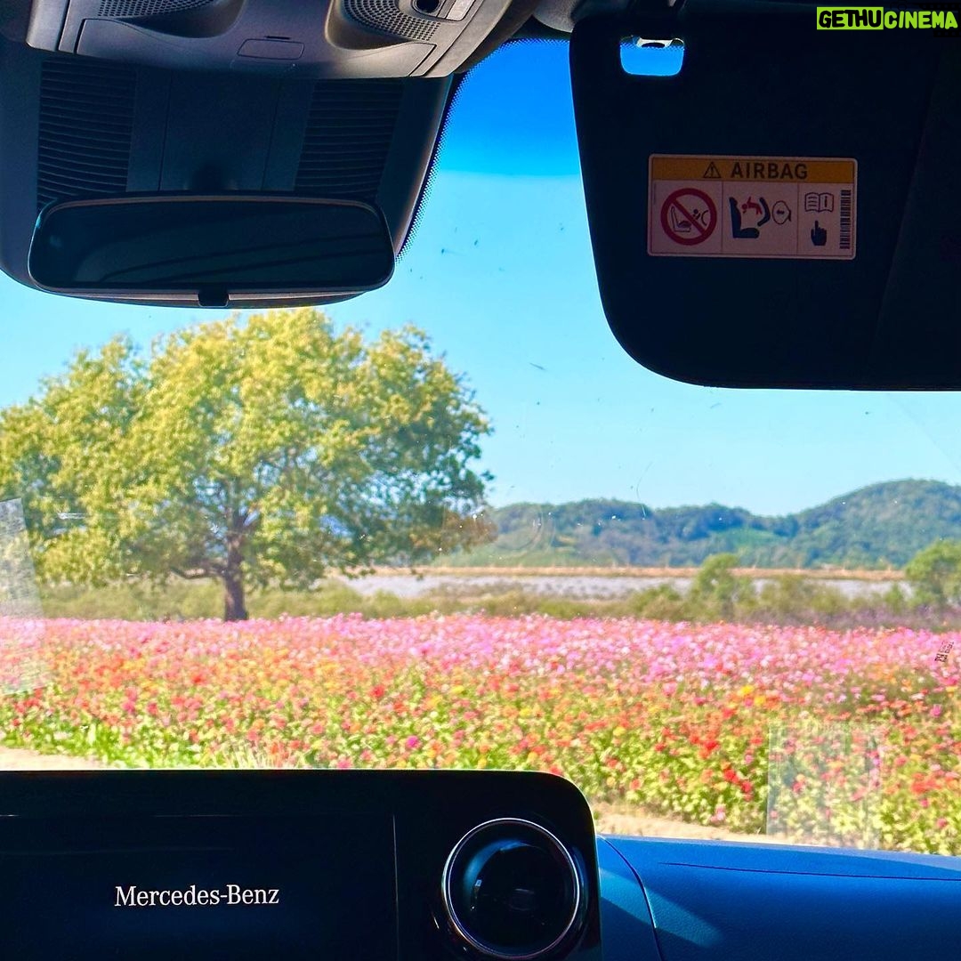 Im Soo-hyang Instagram - 여기 어디야.. 천국인가요🌷