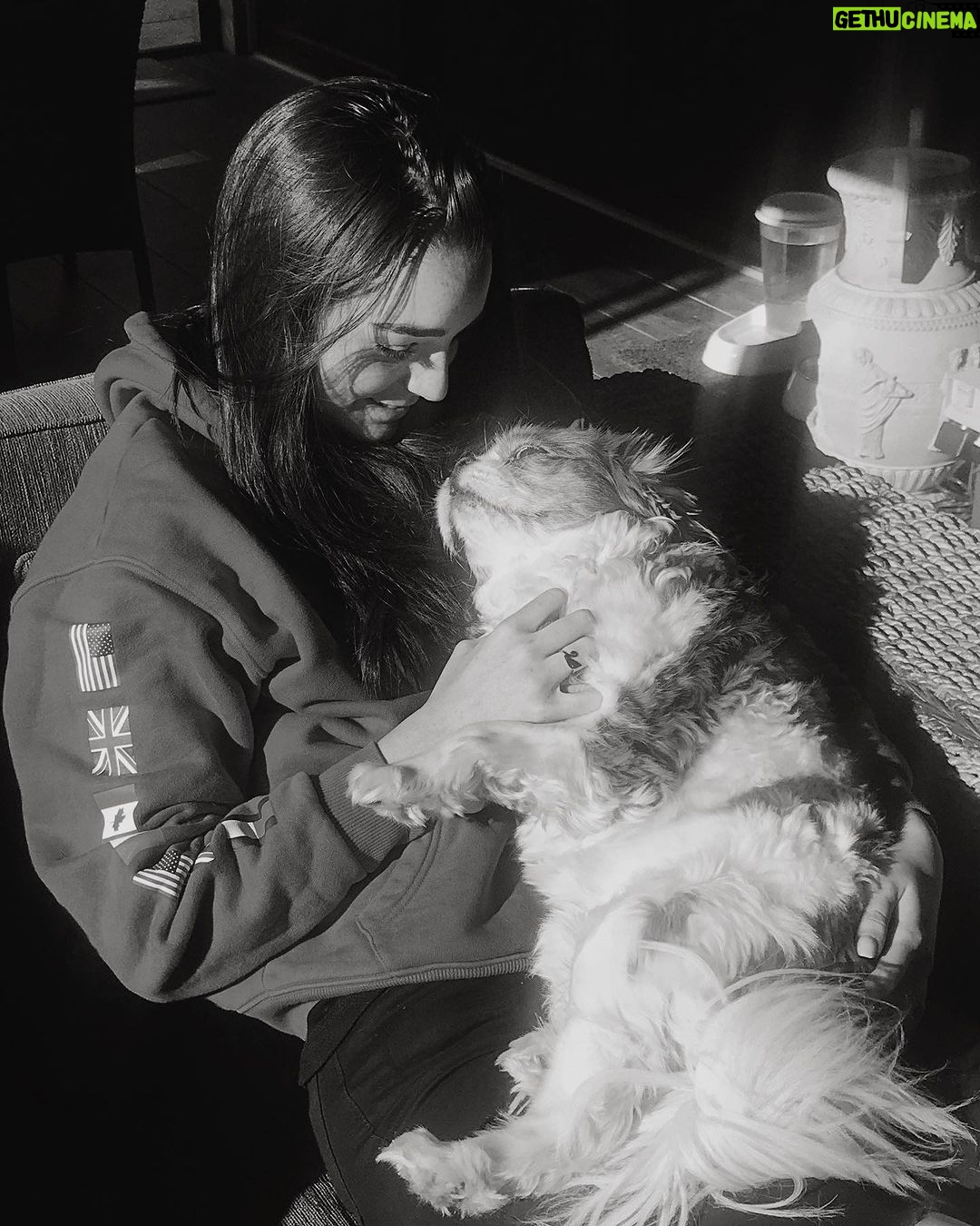 Indiana Massara Instagram - You always were the best boy. Run far and fast up there my love. Till I see you on the rainbow bridge angel 🤍