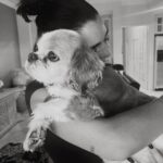 Indiana Massara Instagram - You always were the best boy. Run far and fast up there my love. Till I see you on the rainbow bridge angel 🤍