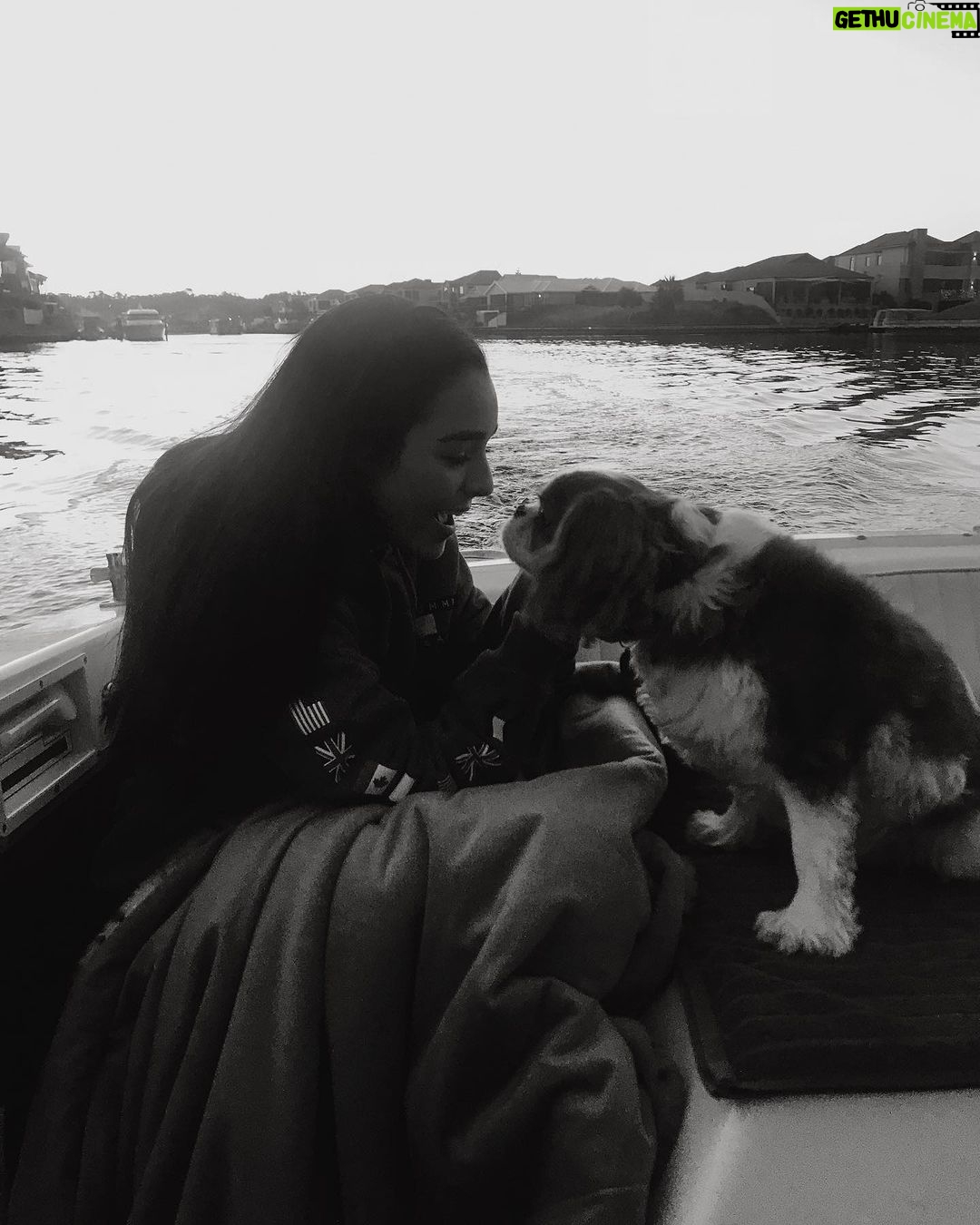 Indiana Massara Instagram - You always were the best boy. Run far and fast up there my love. Till I see you on the rainbow bridge angel 🤍